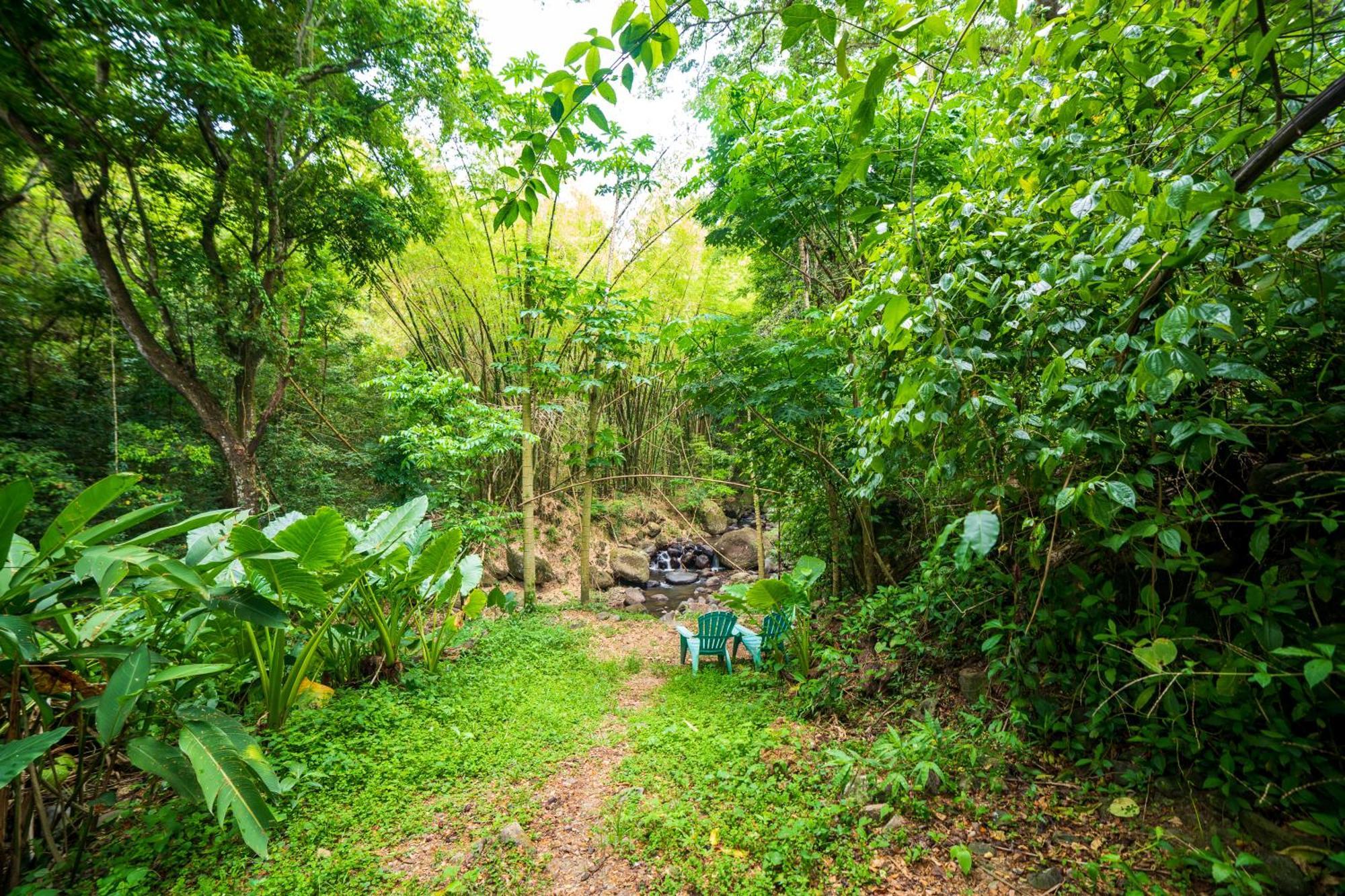 Вилла Martinique Treehouse Canton Suisse Экстерьер фото