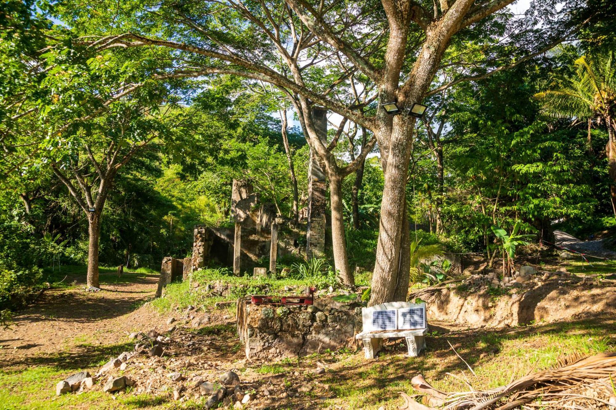 Вилла Martinique Treehouse Canton Suisse Экстерьер фото