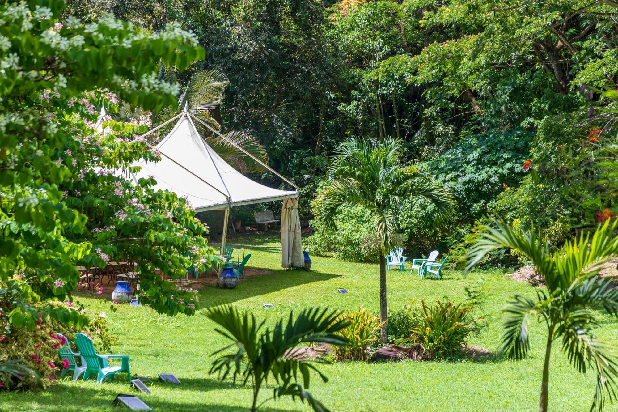 Вилла Martinique Treehouse Canton Suisse Экстерьер фото
