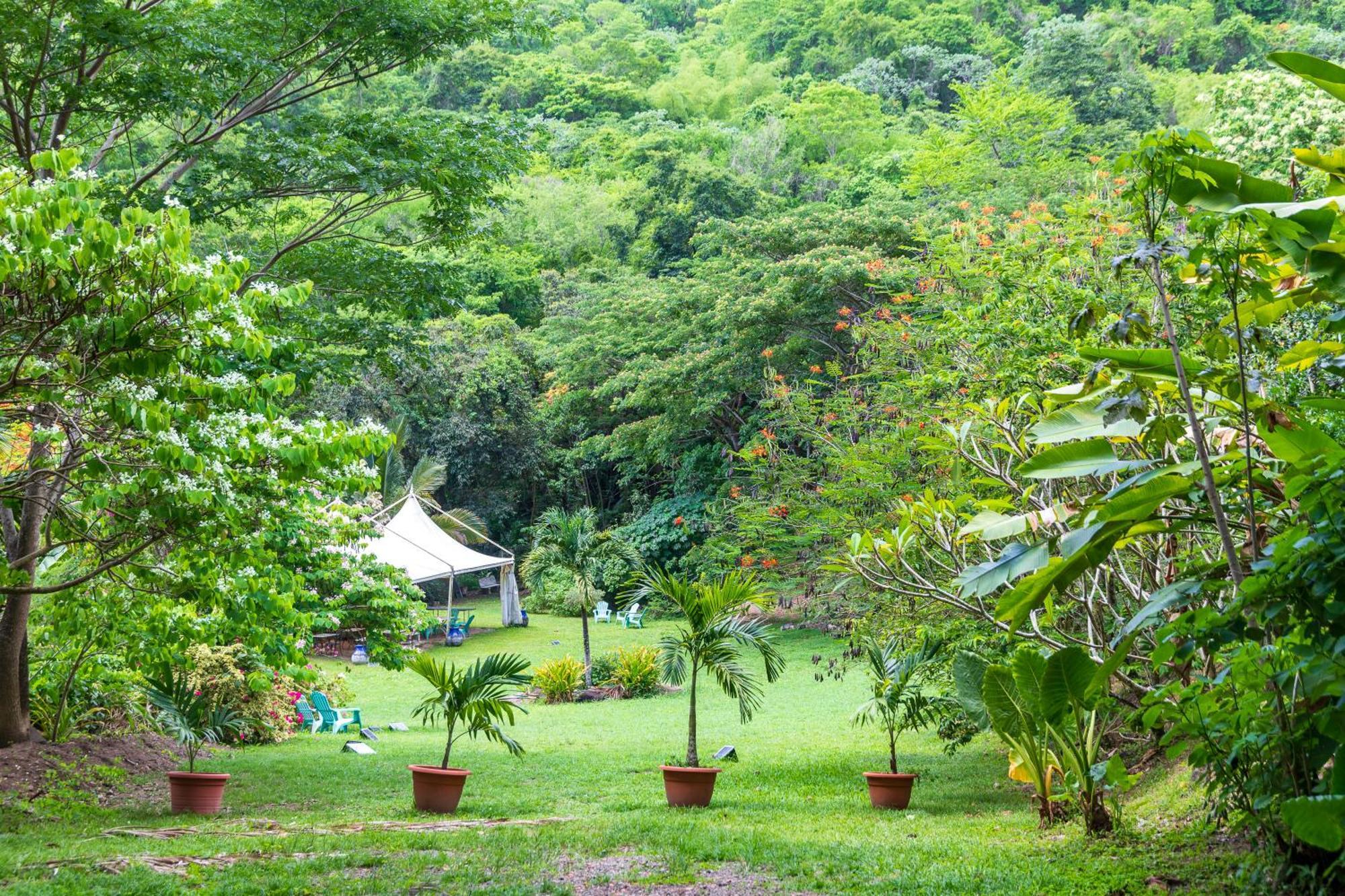 Вилла Martinique Treehouse Canton Suisse Экстерьер фото