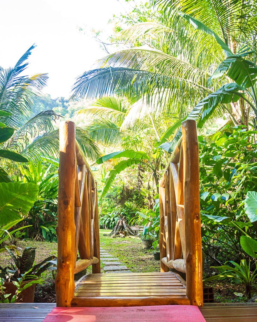 Вилла Martinique Treehouse Canton Suisse Экстерьер фото