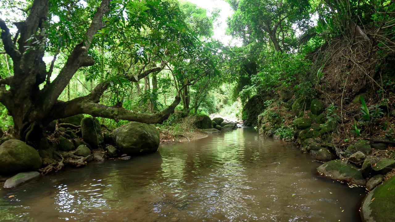 Вилла Martinique Treehouse Canton Suisse Экстерьер фото