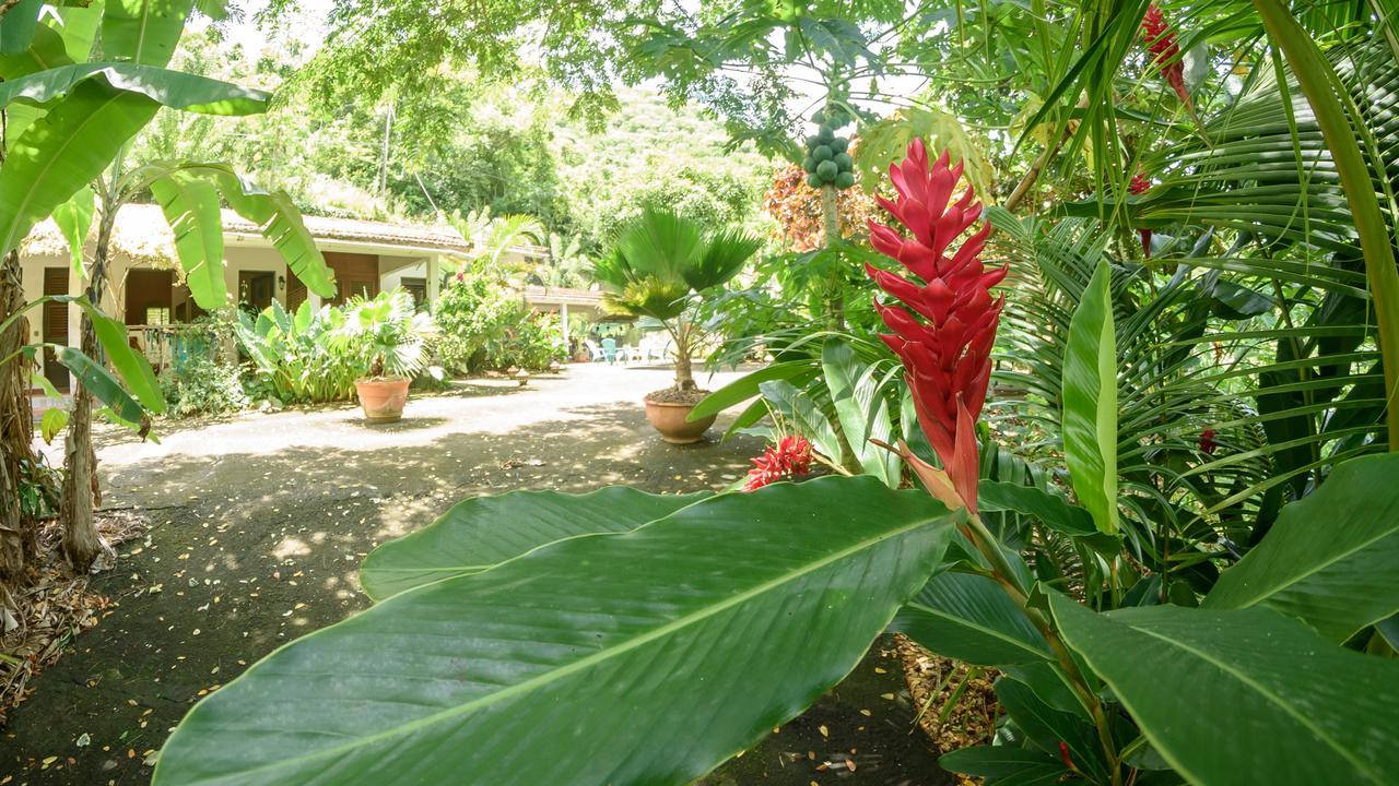 Вилла Martinique Treehouse Canton Suisse Экстерьер фото