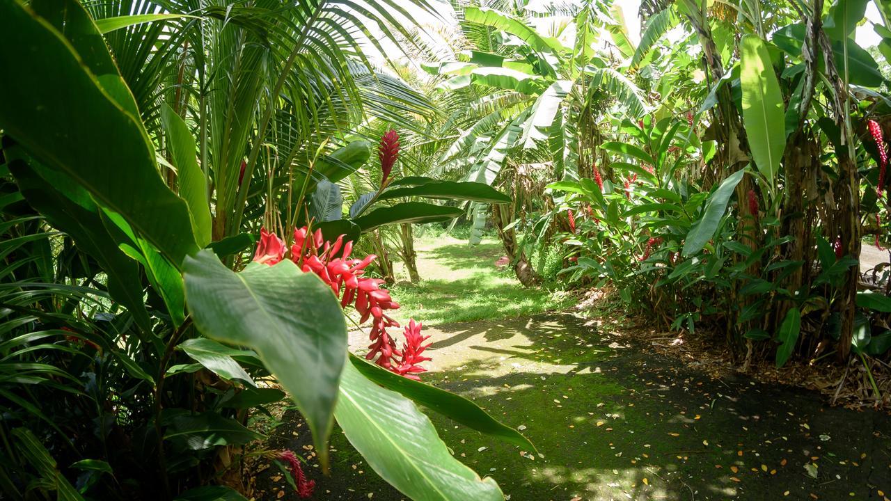 Вилла Martinique Treehouse Canton Suisse Экстерьер фото