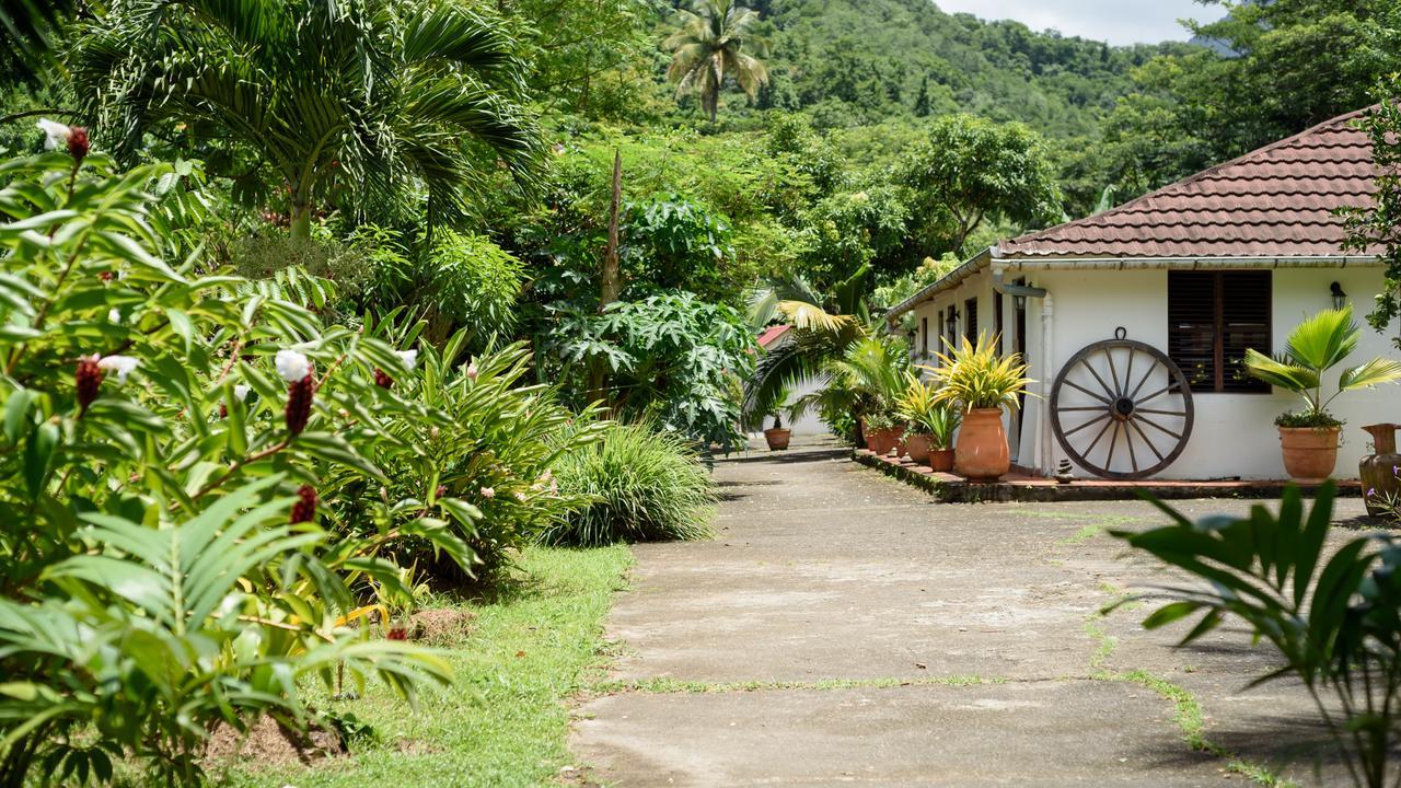 Вилла Martinique Treehouse Canton Suisse Экстерьер фото