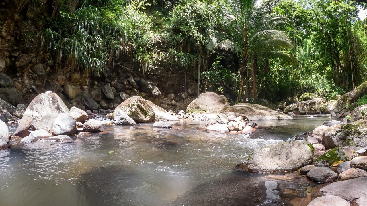 Вилла Martinique Treehouse Canton Suisse Экстерьер фото