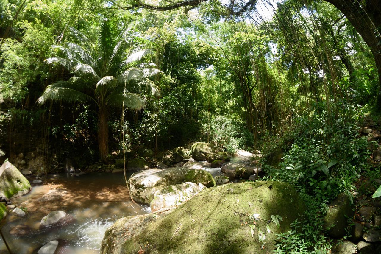 Вилла Martinique Treehouse Canton Suisse Экстерьер фото