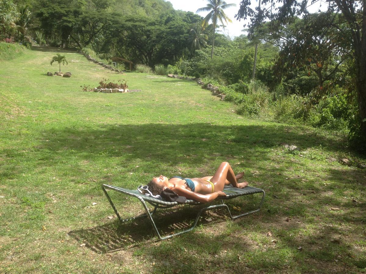 Вилла Martinique Treehouse Canton Suisse Экстерьер фото