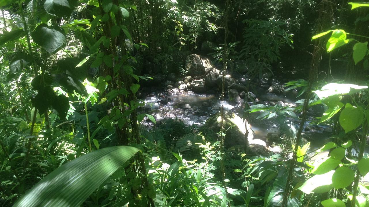 Вилла Martinique Treehouse Canton Suisse Экстерьер фото