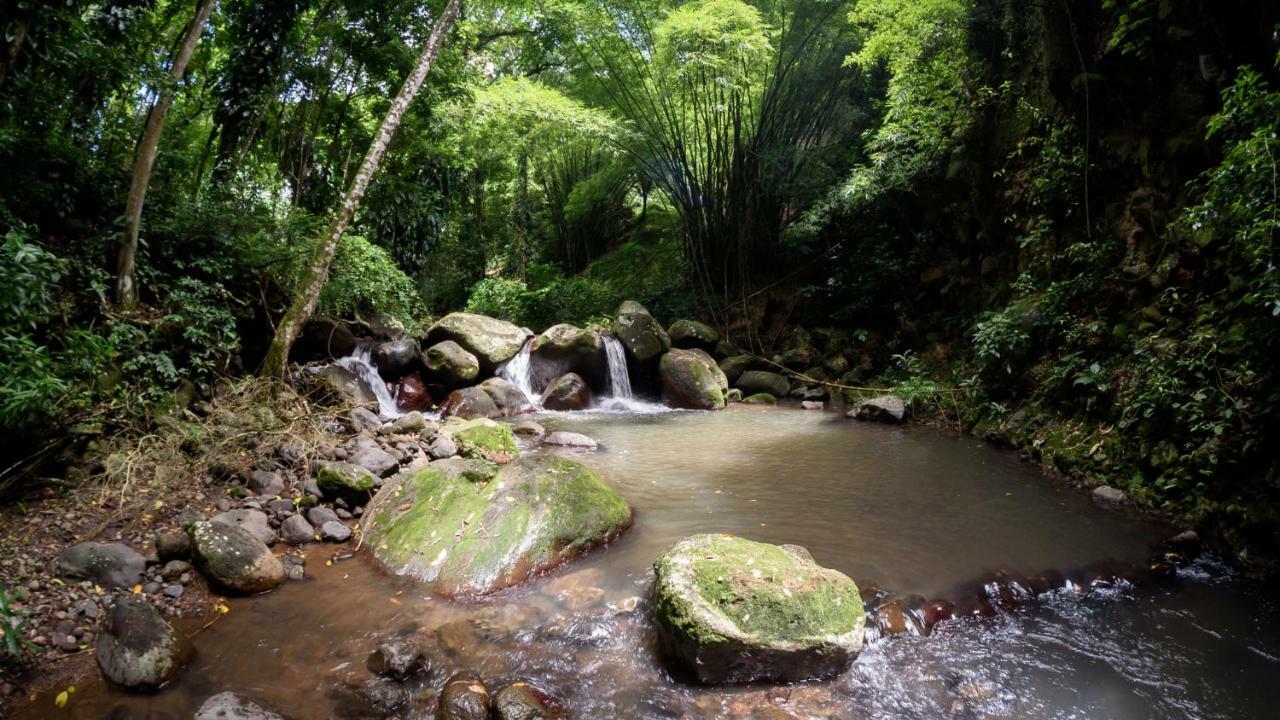 Вилла Martinique Treehouse Canton Suisse Экстерьер фото
