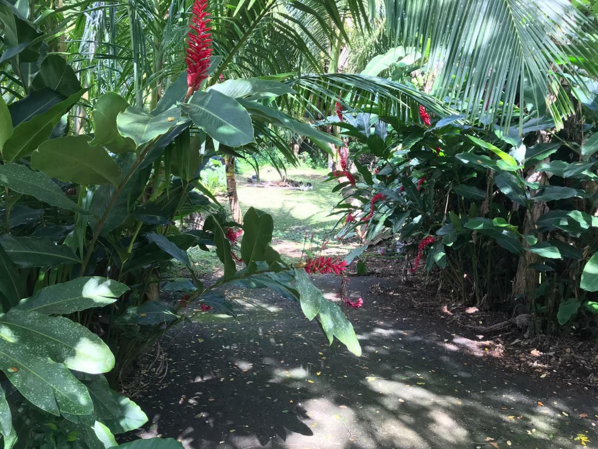 Вилла Martinique Treehouse Canton Suisse Экстерьер фото